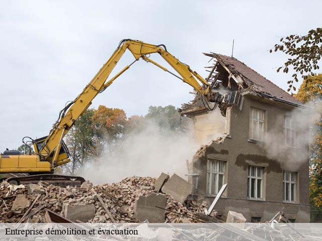 Entreprise démolition et évacuation cande-sur-beuvron-41120 Bruno démolition & terrassement