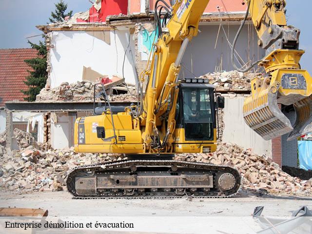 Entreprise démolition et évacuation cande-sur-beuvron-41120 Bruno démolition & terrassement