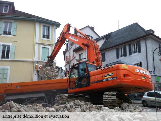 Entreprise démolition et évacuation cande-sur-beuvron-41120 Bruno démolition & terrassement