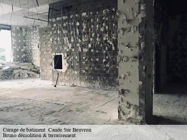 Curage de batiment cande-sur-beuvron-41120 Bruno démolition & terrassement