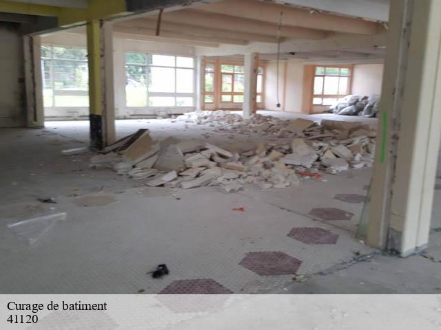 Curage de batiment cande-sur-beuvron-41120 Bruno démolition & terrassement