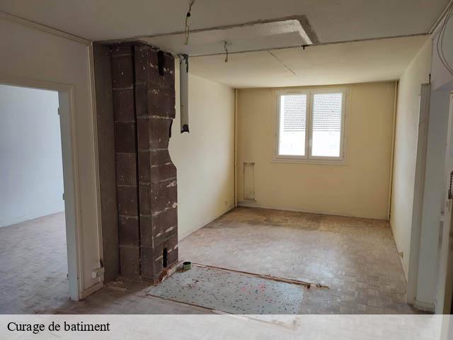 Curage de batiment cande-sur-beuvron-41120 Bruno démolition & terrassement