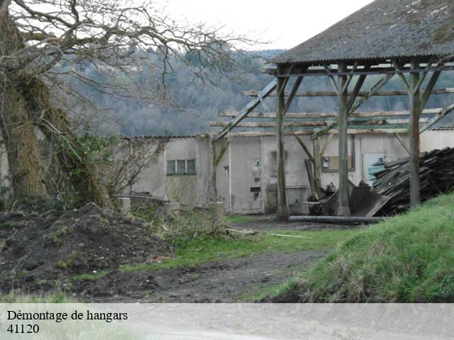 Démontage de hangars cande-sur-beuvron-41120 Bruno démolition & terrassement