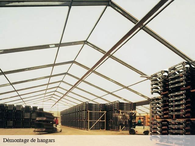 Démontage de hangars cande-sur-beuvron-41120 Bruno démolition & terrassement