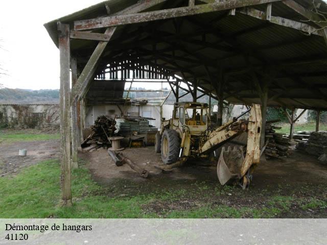 Démontage de hangars cande-sur-beuvron-41120 Bruno démolition & terrassement