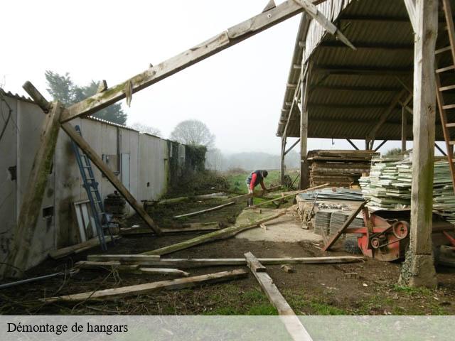Démontage de hangars cande-sur-beuvron-41120 Bruno démolition & terrassement