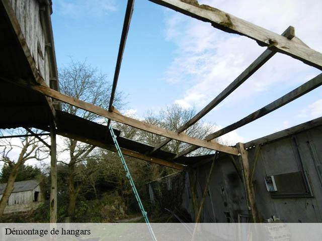 Démontage de hangars cande-sur-beuvron-41120 Bruno démolition & terrassement