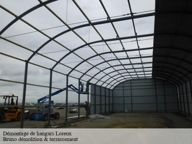 Démontage de hangars loreux-41200 Bruno démolition & terrassement