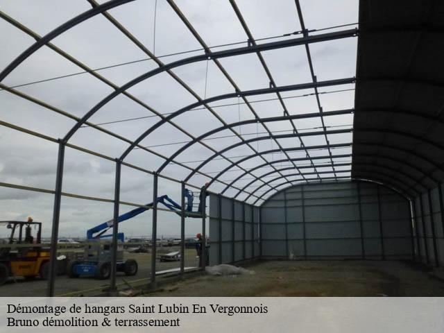 Démontage de hangars saint-lubin-en-vergonnois-41190 Bruno démolition & terrassement