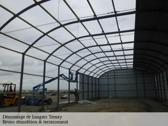 Démontage de hangars ternay-41800 Bruno démolition & terrassement